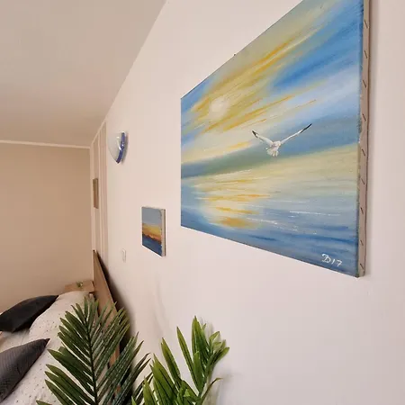 Sunset Petra זאדאר